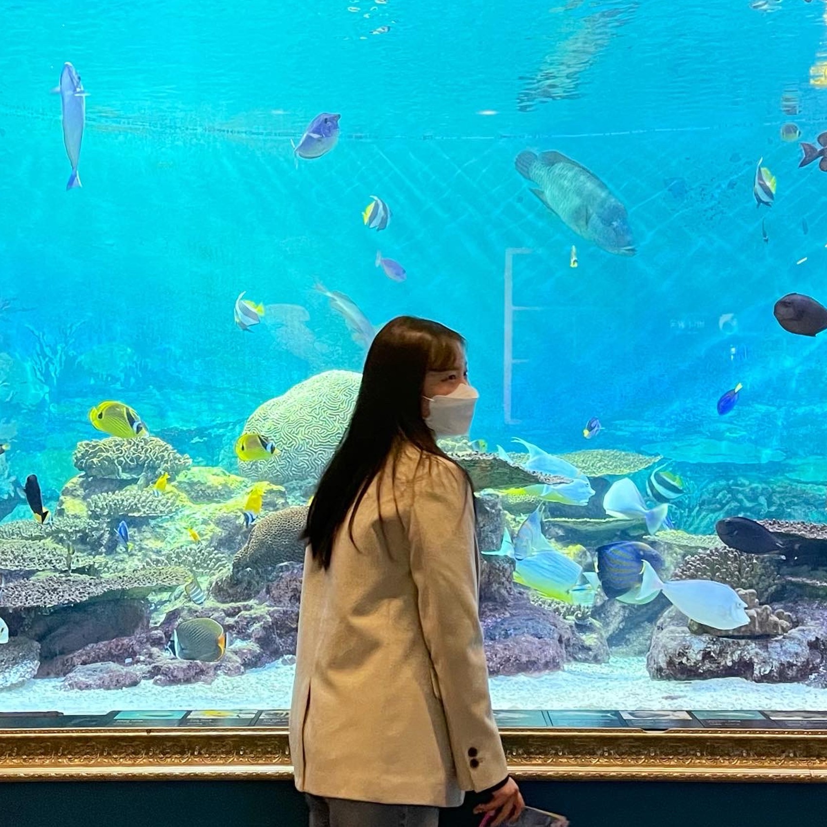 인플루언서 프로필