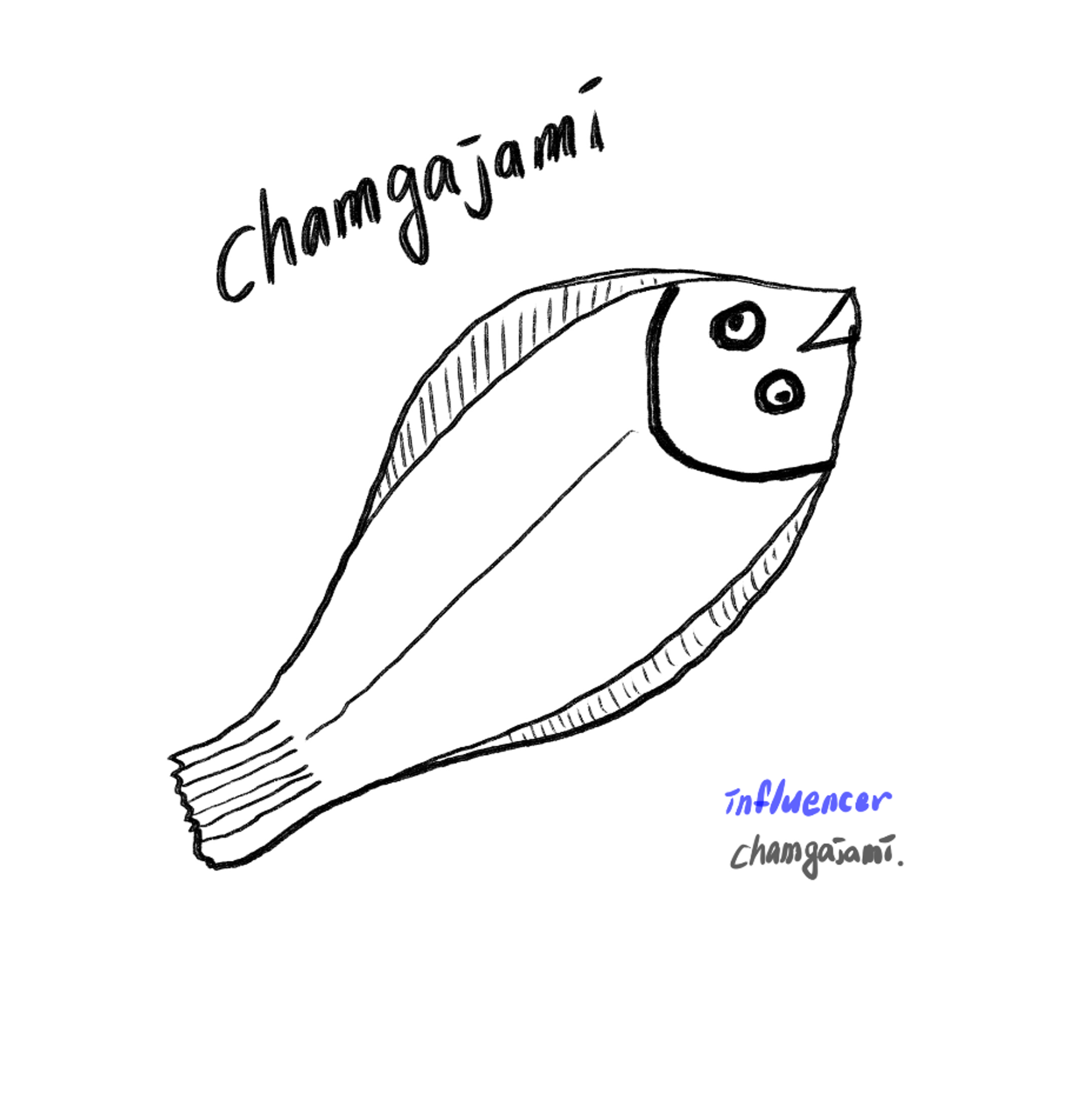인플루언서 프로필