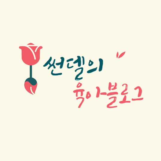 인플루언서 프로필