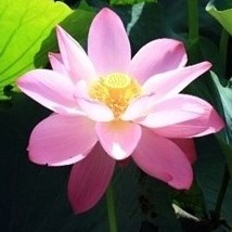인플루언서 프로필