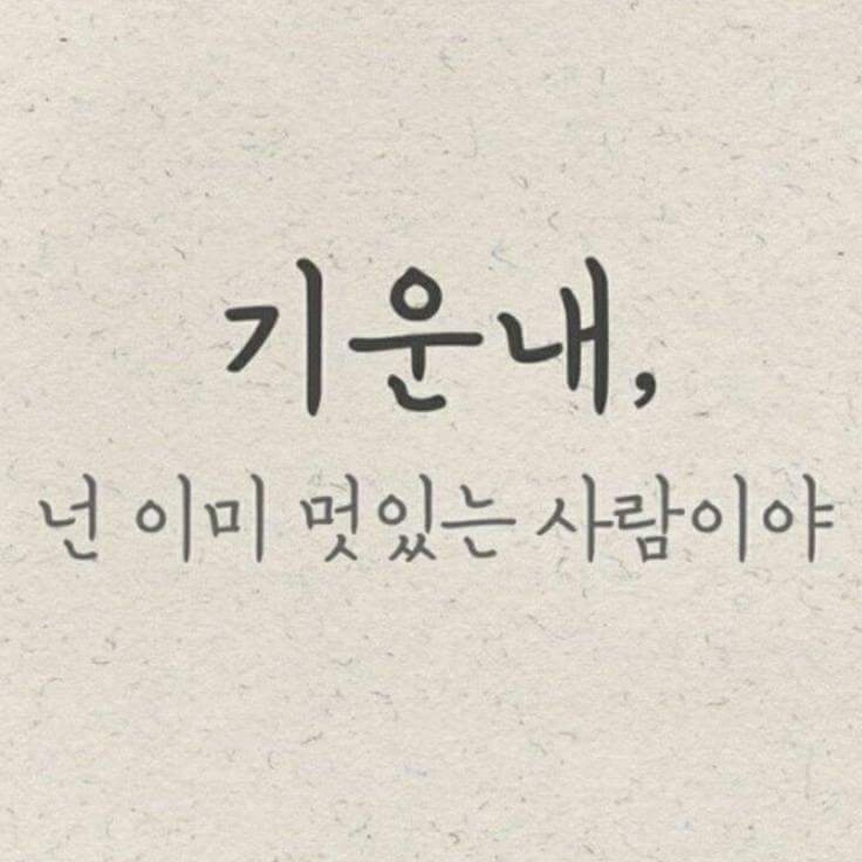 인플루언서 프로필