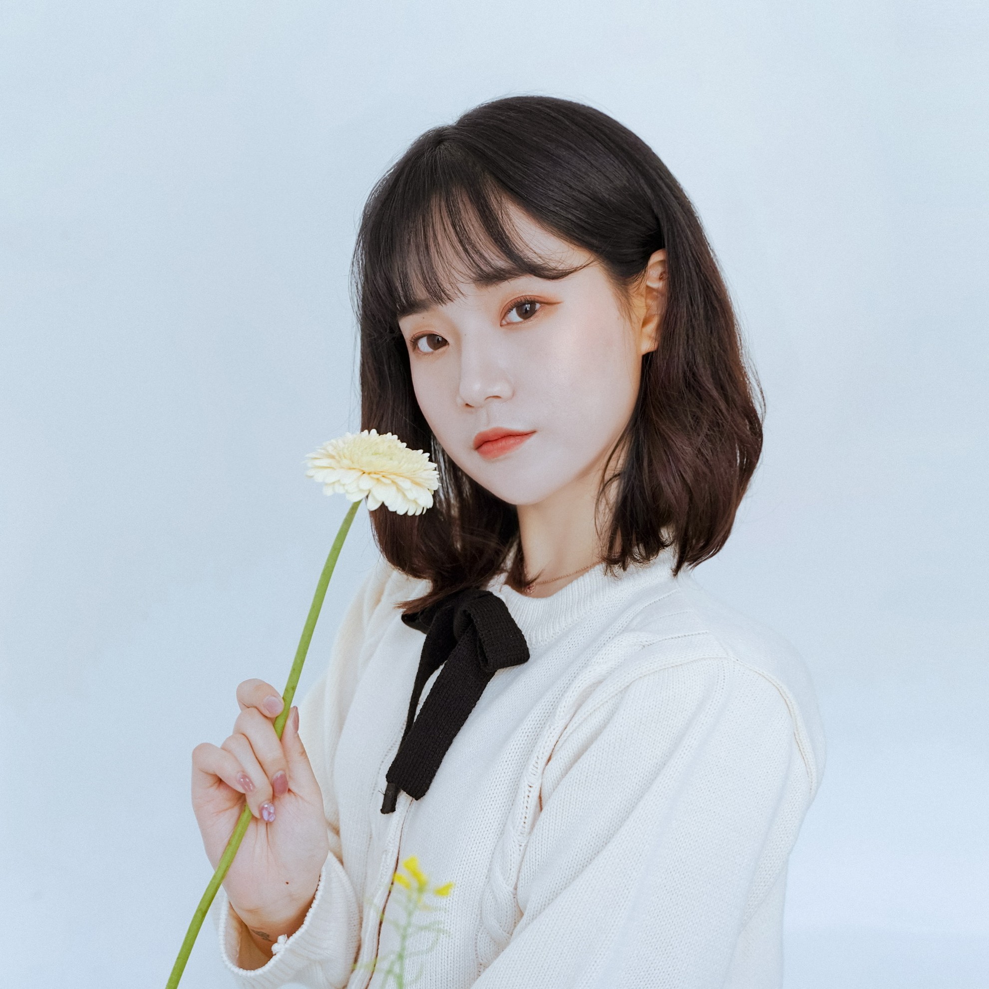 인플루언서 프로필