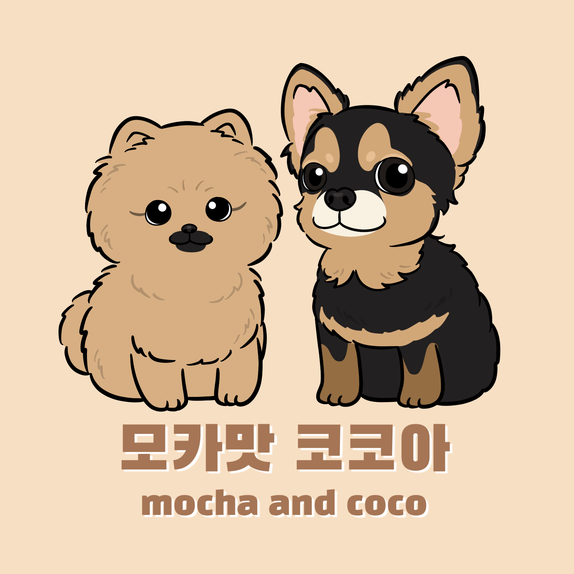 인플루언서 프로필
