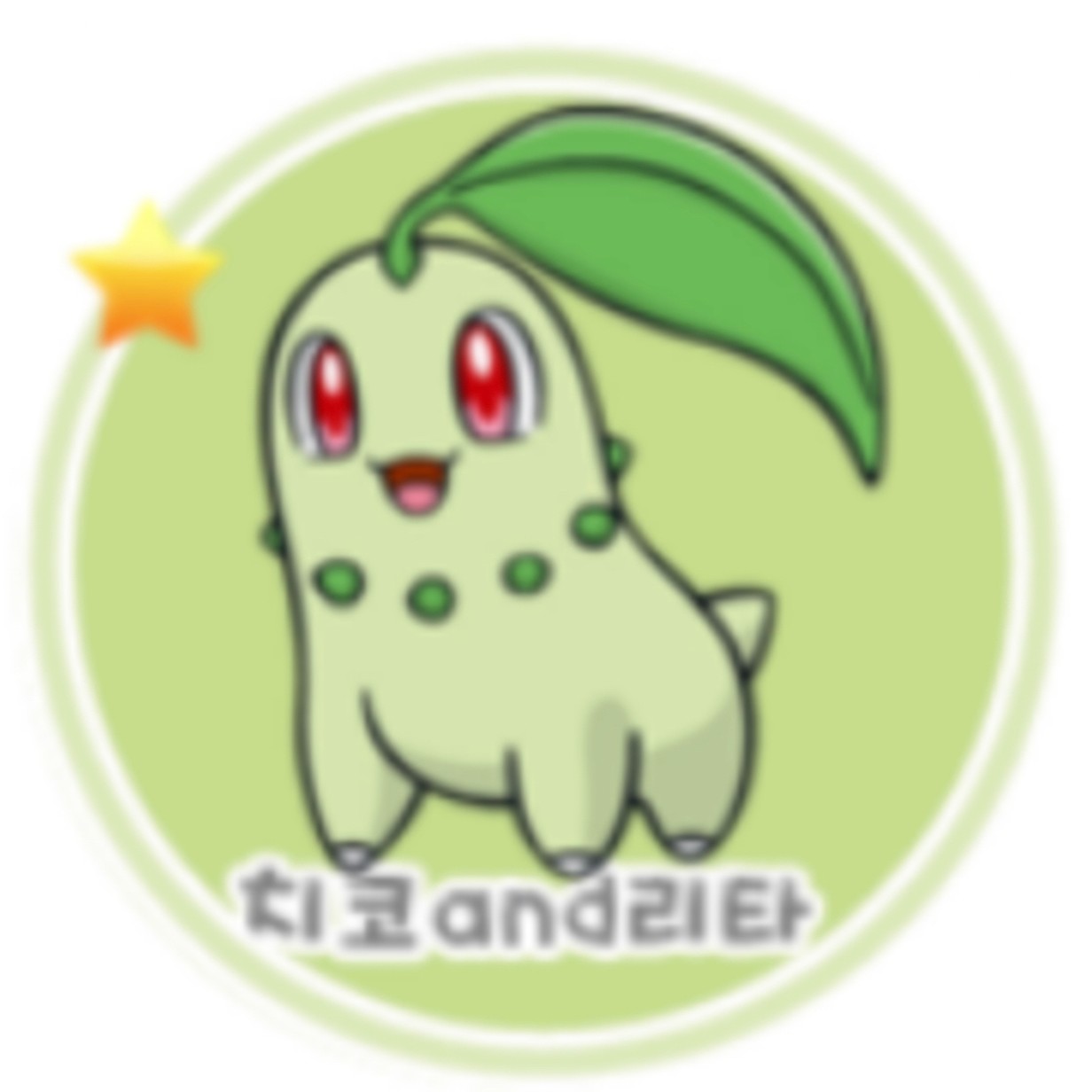 인플루언서 프로필