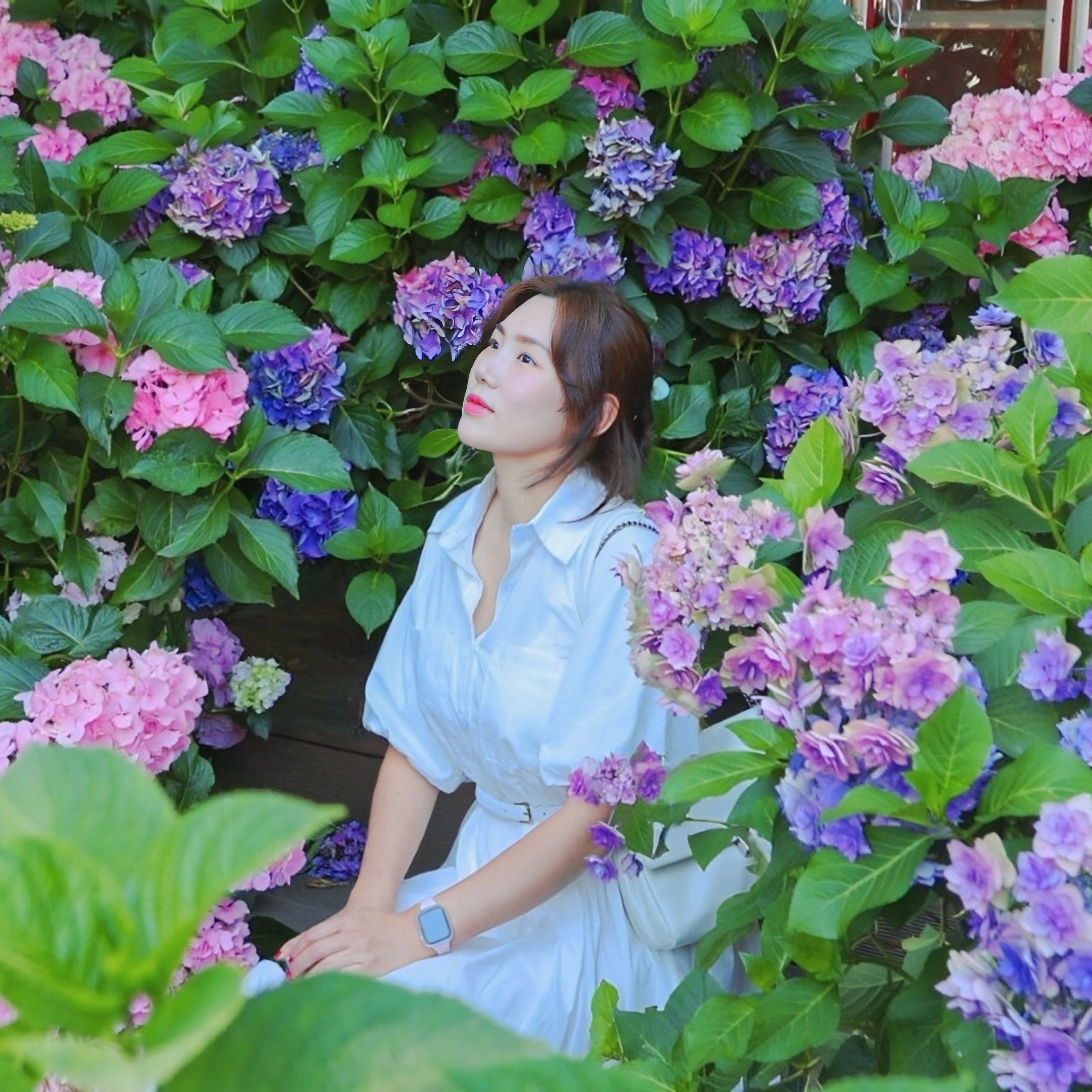 인플루언서 프로필