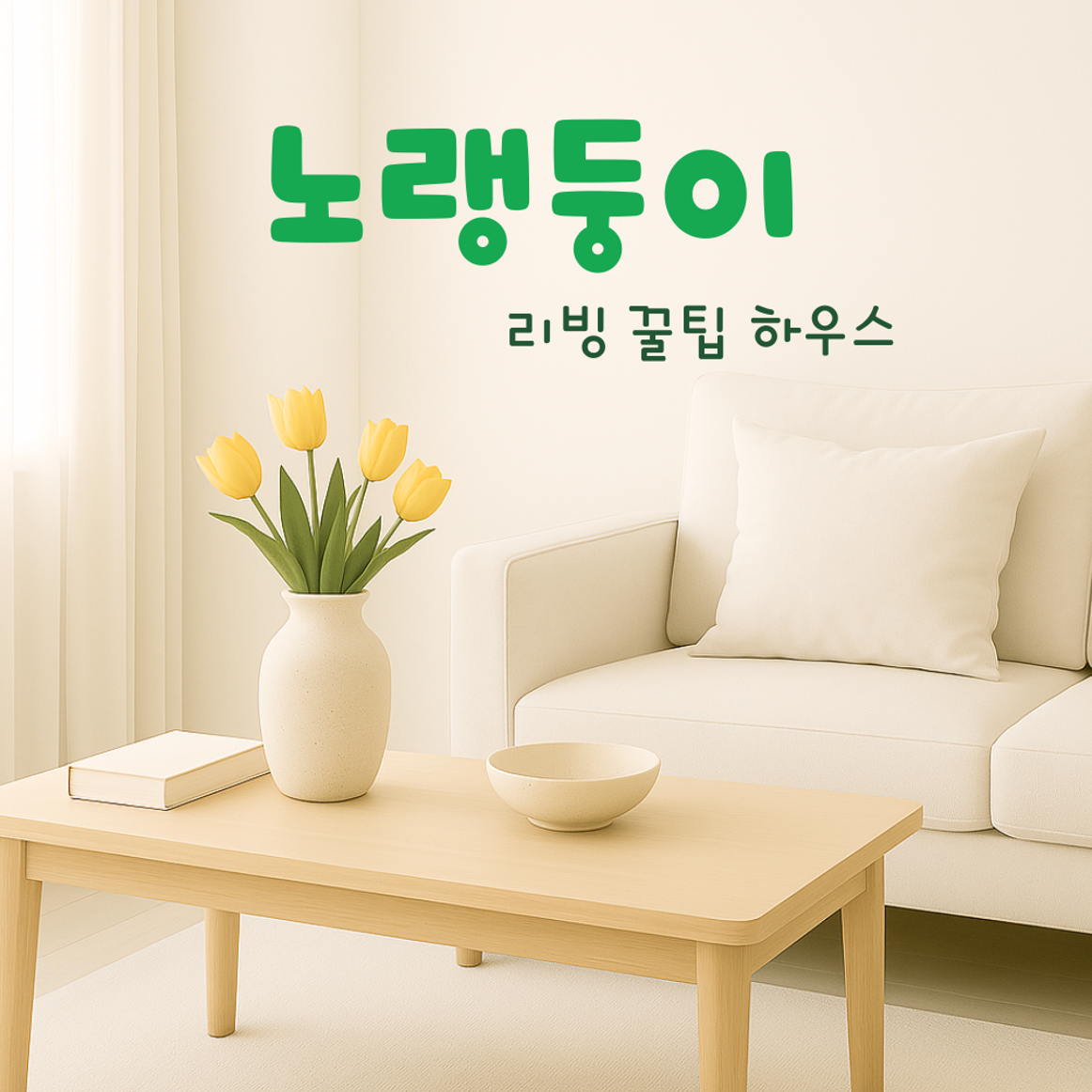 인플루언서 프로필
