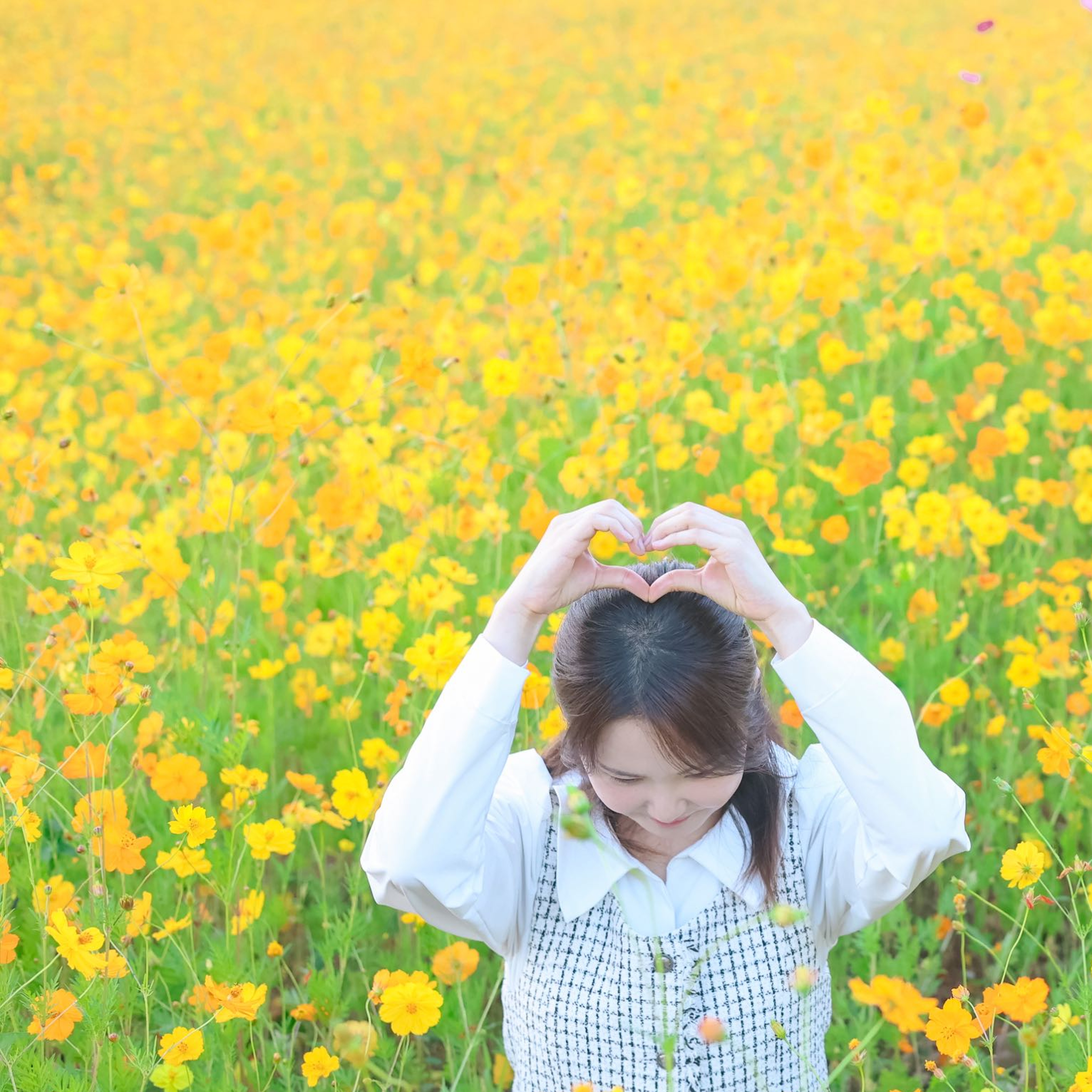 인플루언서 프로필