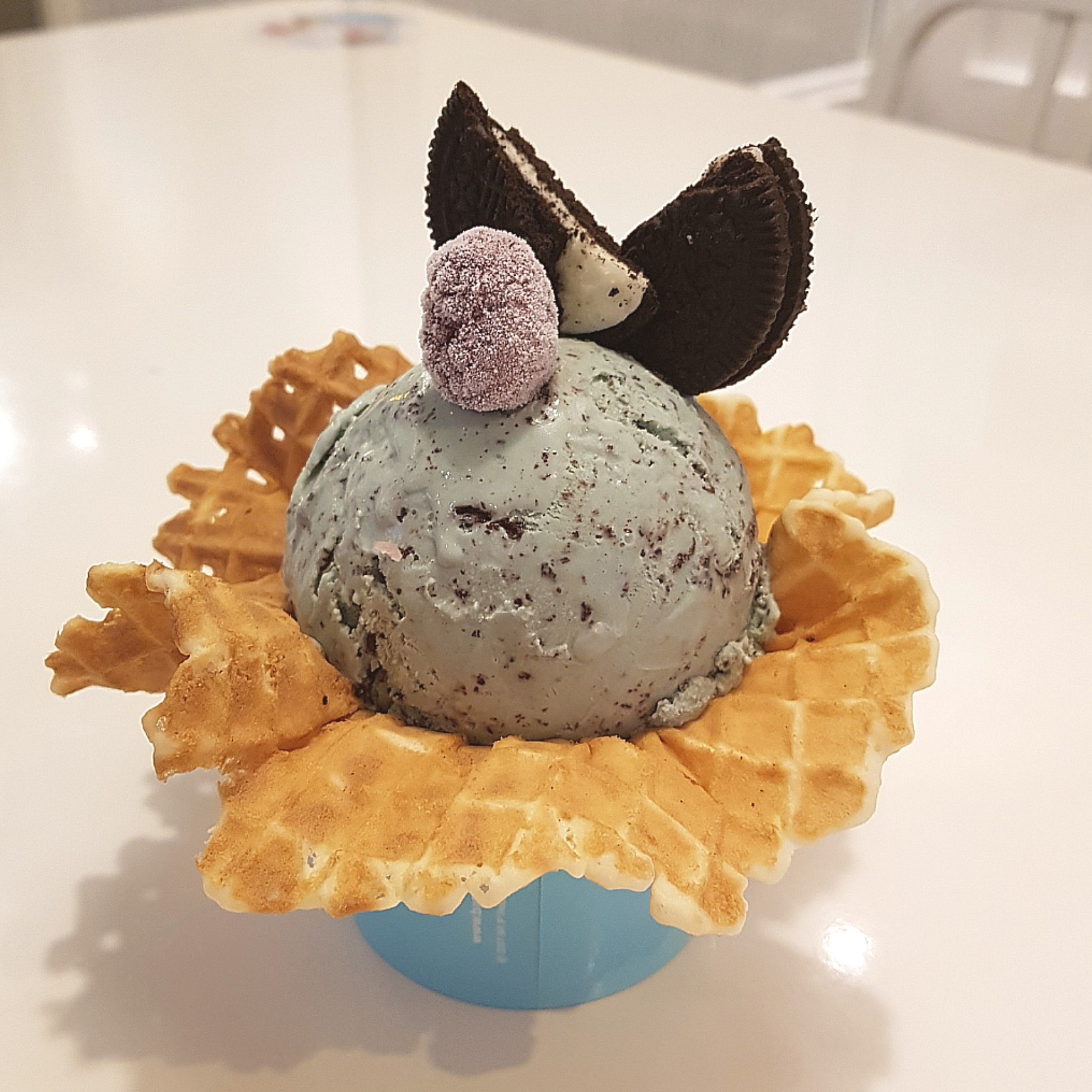 인플루언서 프로필