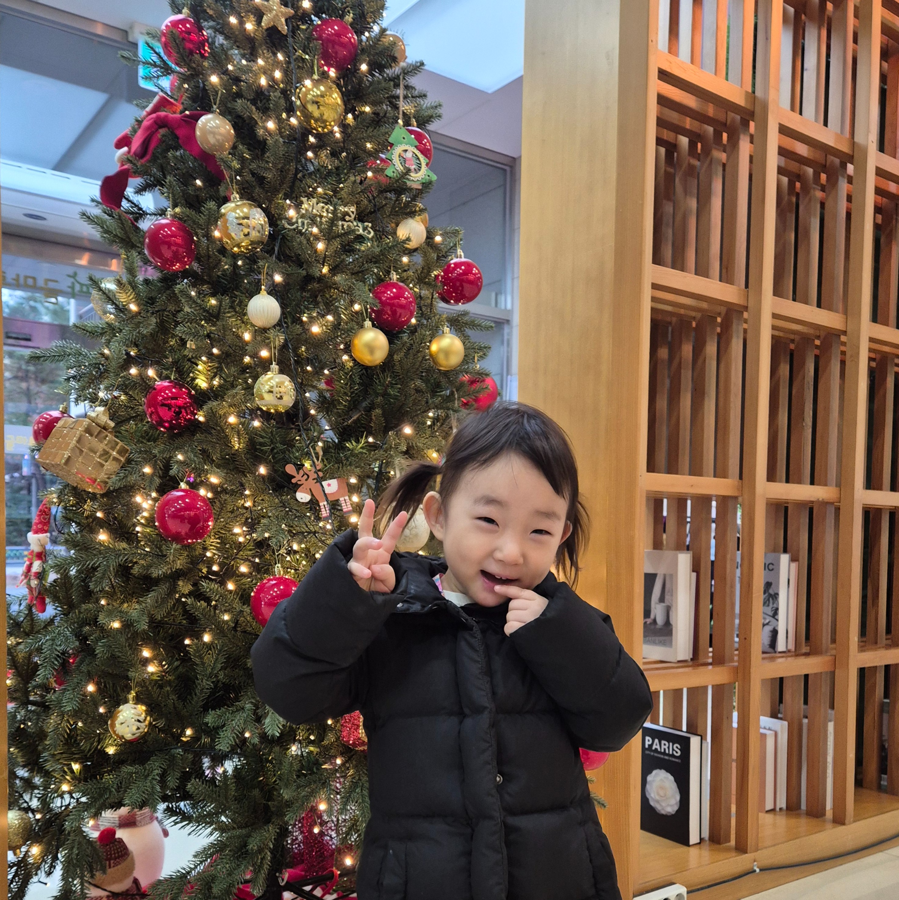 인플루언서 프로필