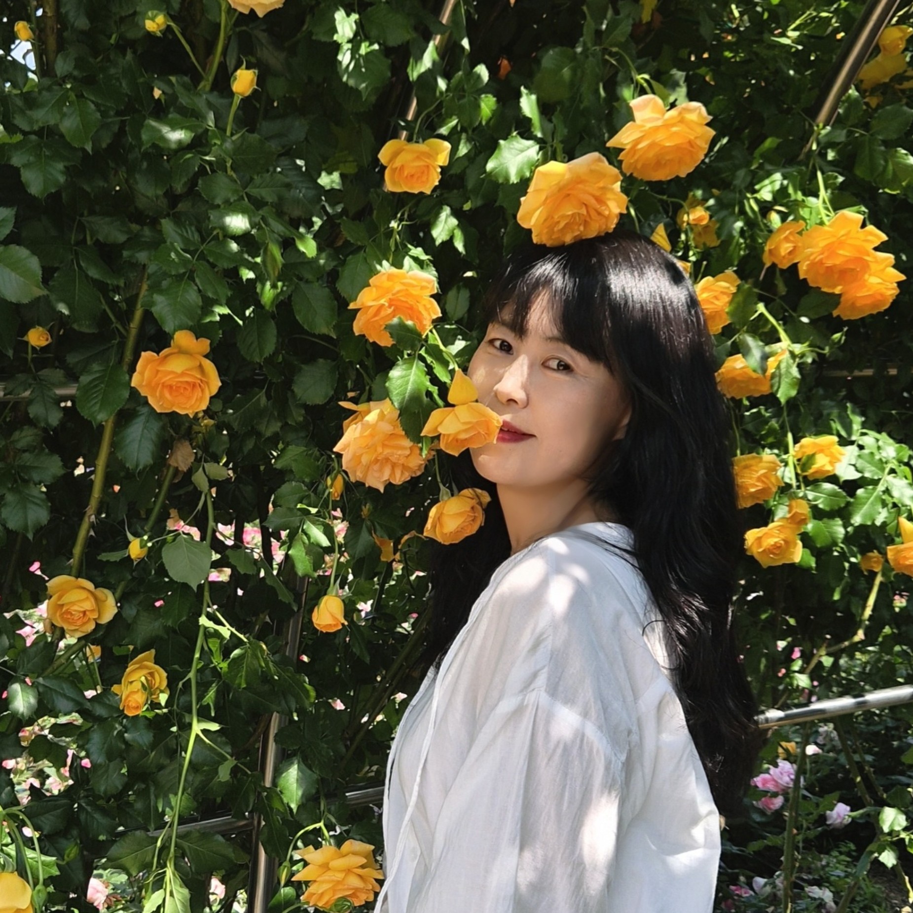 인플루언서 프로필